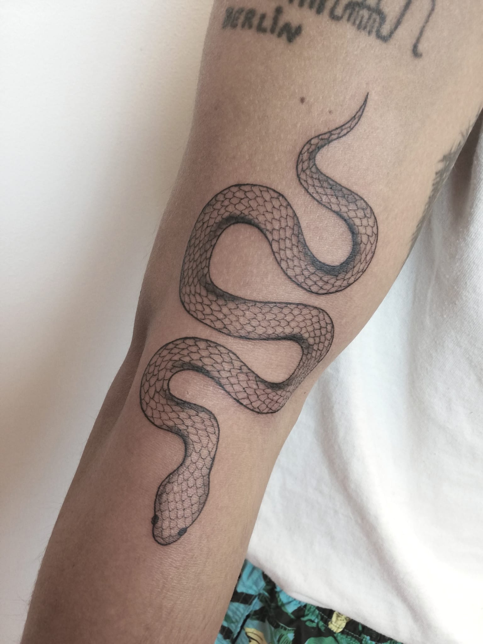 tatauggio serpente blackwork