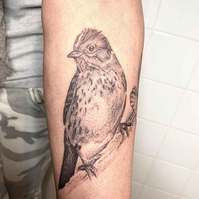 tattoo realistico uccello